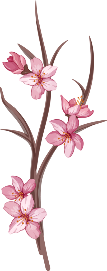 Sakura 01 405x1024